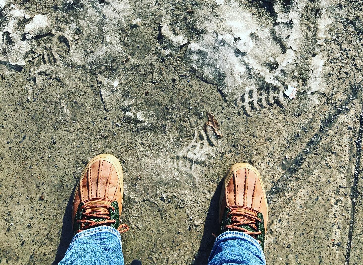 Walking: Montreal, QC