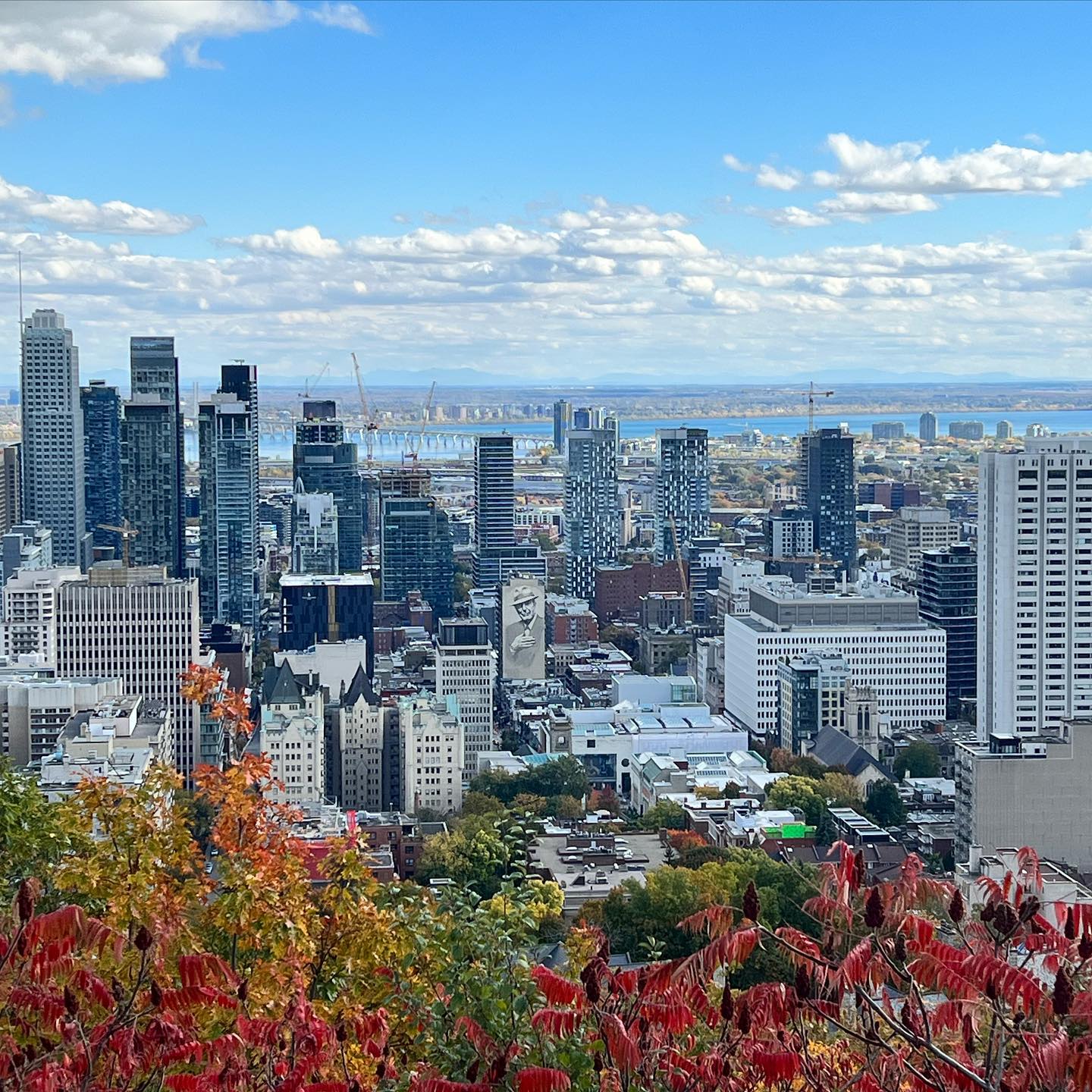 Skyline: Montreal, QC