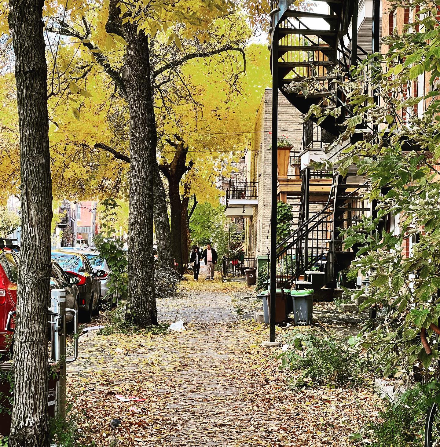La Plateau: Montreal, QC