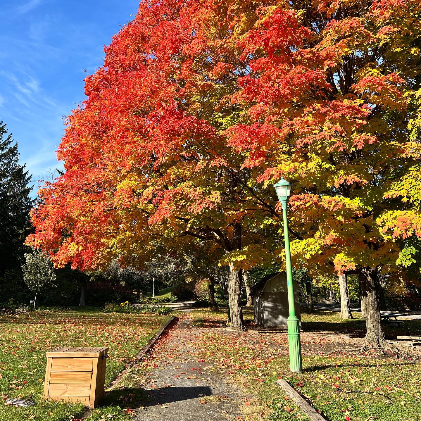 Outremont Park: Montreal, QC
