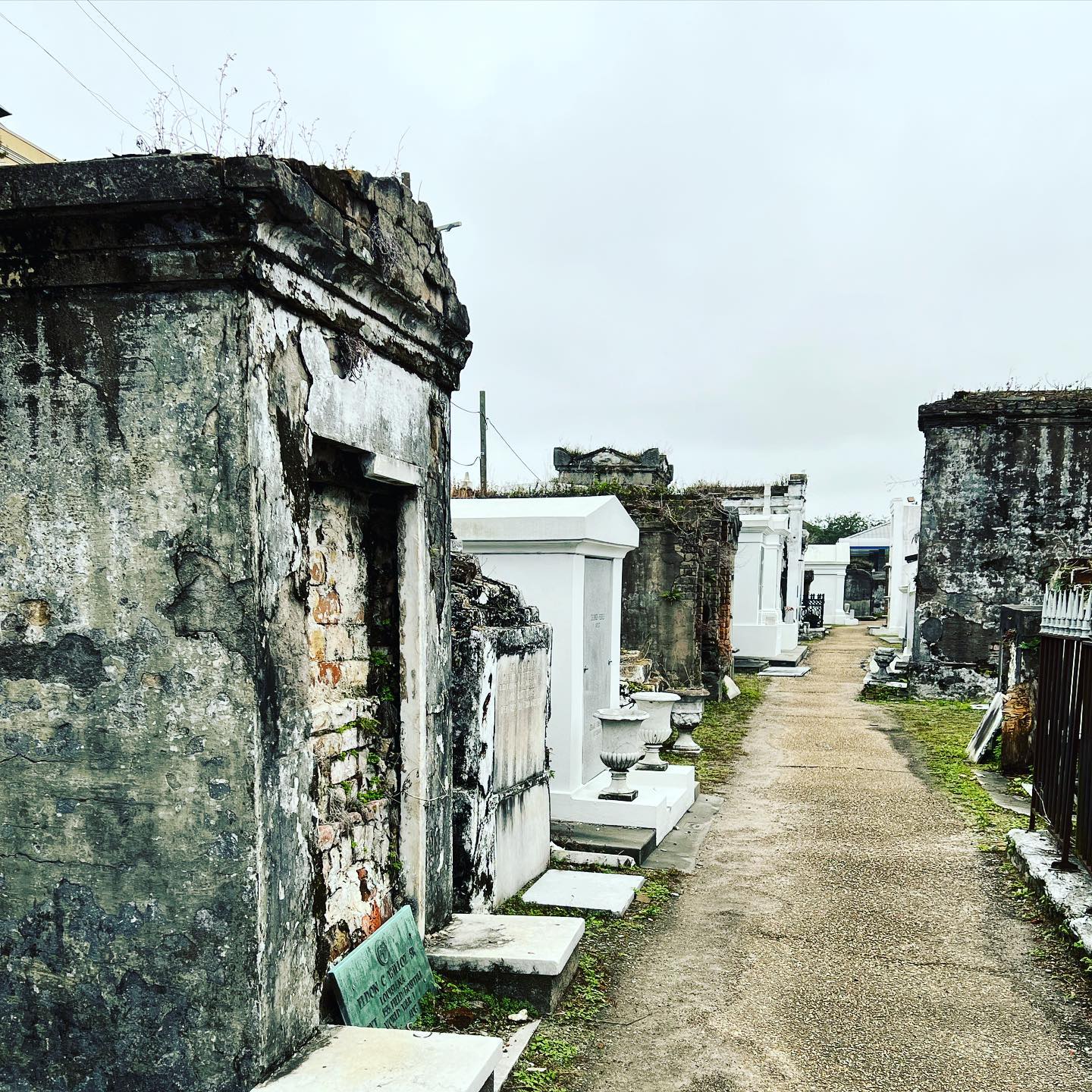 St. Louis + LaFitte’s: New Orleans, LA
