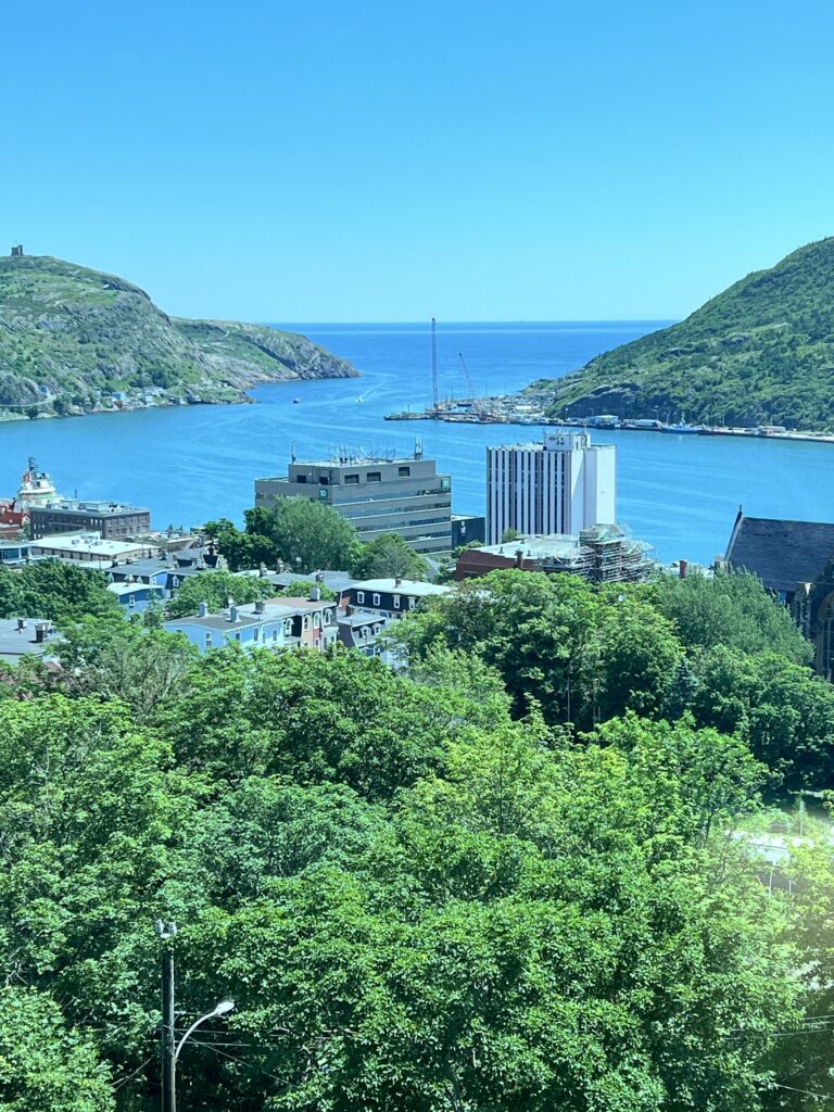 City View from The Rooms, St. John's, NL