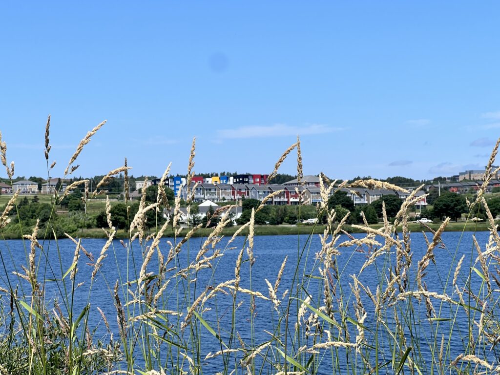 Quidi Vidi Lake, NL