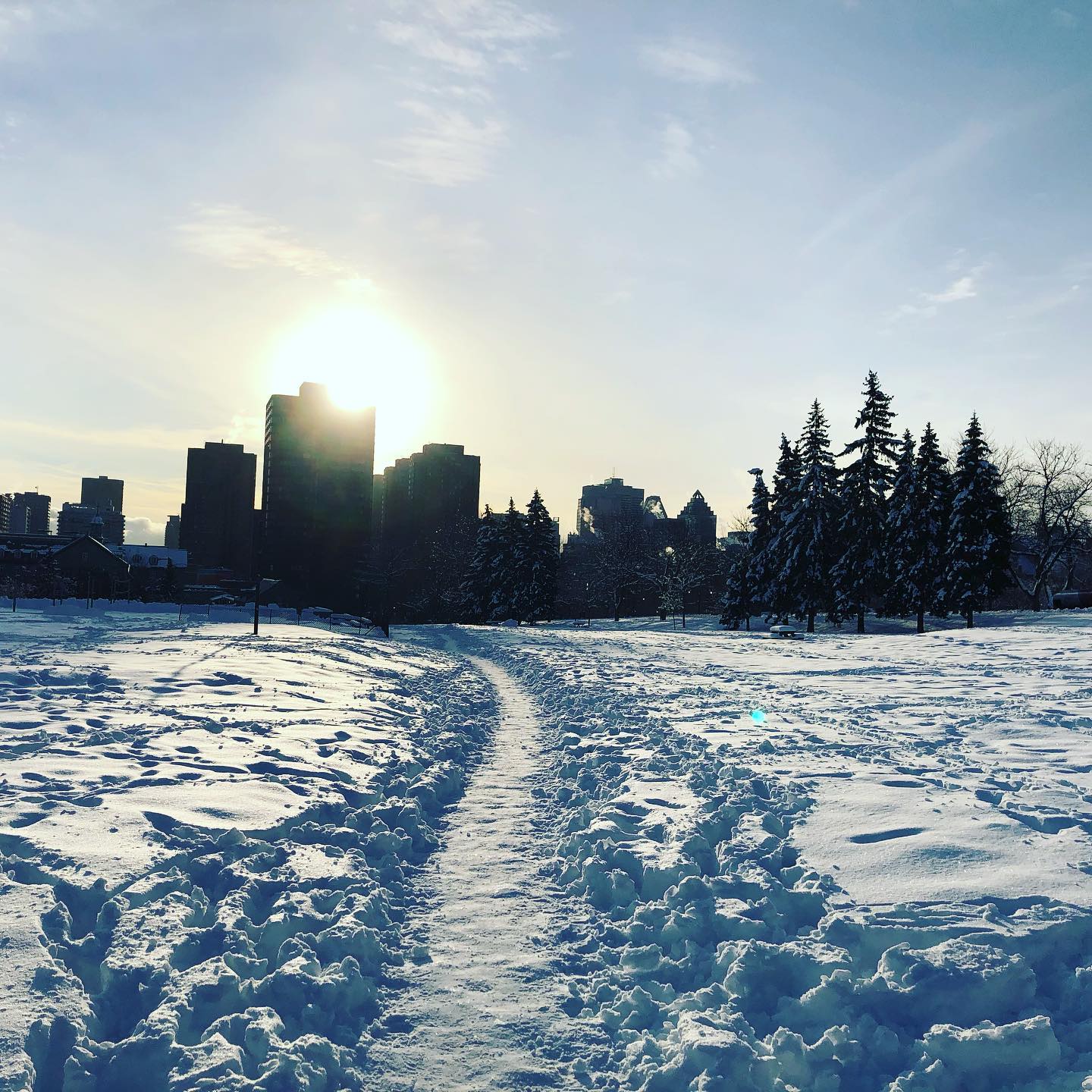 Parc Jeanne Mance, Montreal, QC