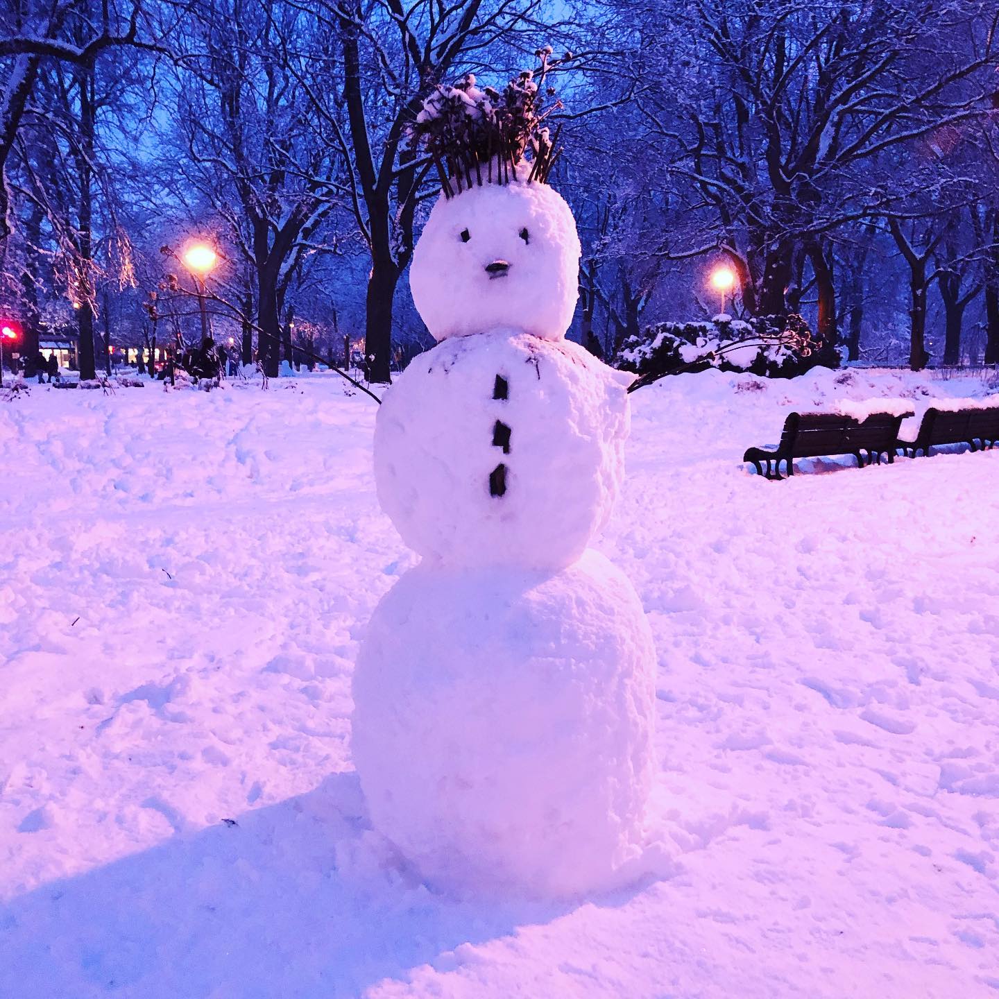 Snow Person: Montreal, QC