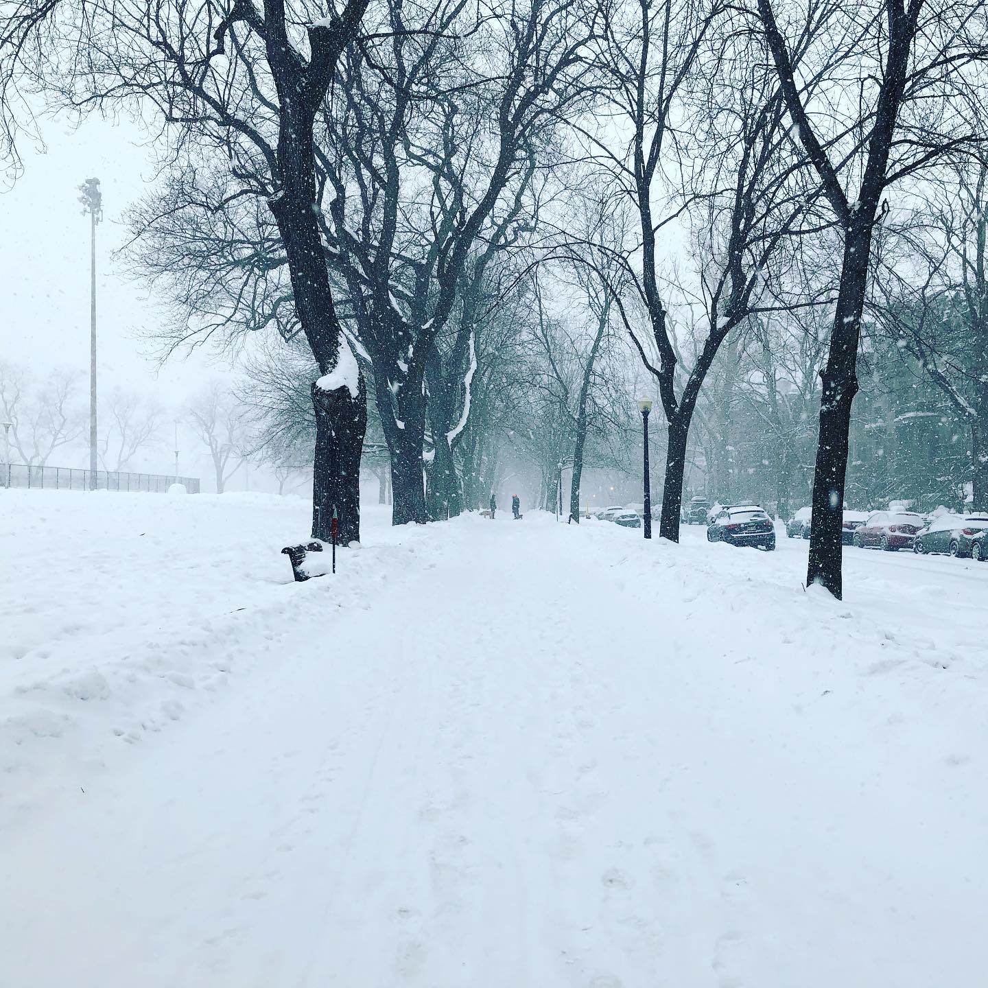 The storm begins ⛈: Montreal, QC