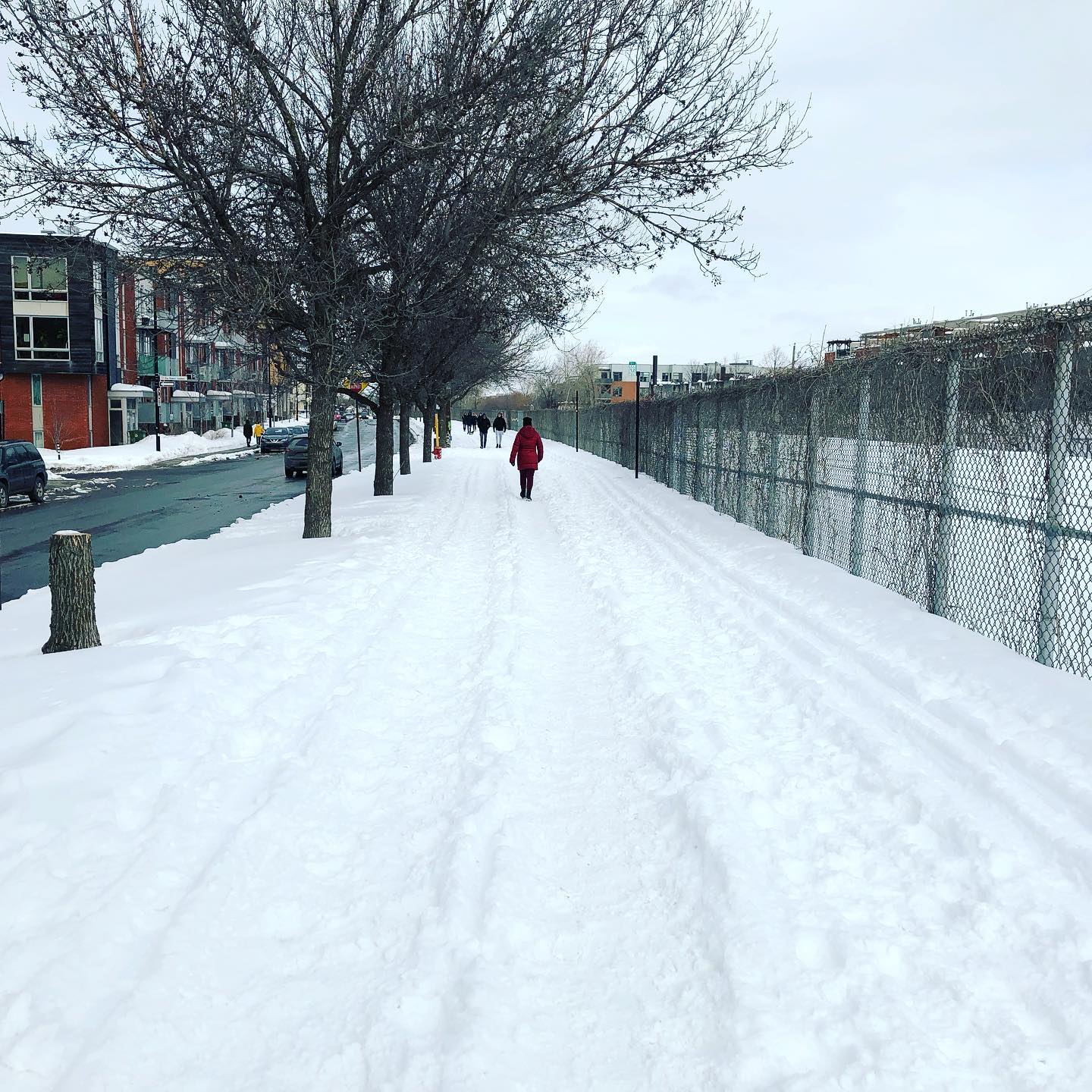 Reseau Vert, Montreal, QC