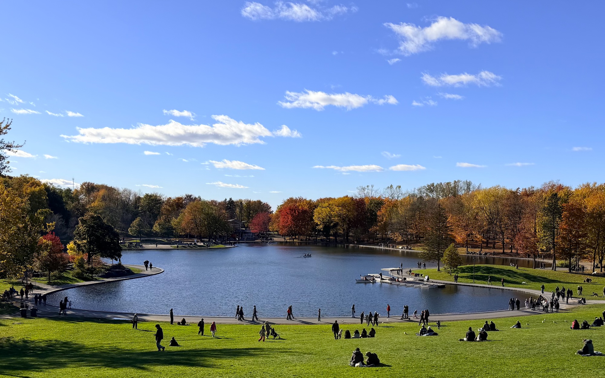 Fall II – Parc Mont-Royal